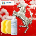 カーシャンプー【ボディークリン 800ml】洗車シャンプー【洗車用品】中性シャンプー 洗車用シャンプー 中性タイプ 洗車洗剤 洗車用スポンジ 洗車スポンジ 洗剤 コーティング施工 使用可能 業務用 プロ仕様 簡単 超濃縮シャンプー 泡洗剤 泡ムートン洗車 水垢 除去剤【車】