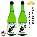 楽天ふるさと選酒県日本酒部2本組 日本酒 茨城県 根本酒造 久慈の山純米酒 720ml 四合瓶 ギフト 贈り物 贈呈品に 純米 SAKE