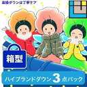 ハイブランド ダウンクリーニング 3点セット 【保管無料】 宅配クリーニング 高級仕上げ 送料無料