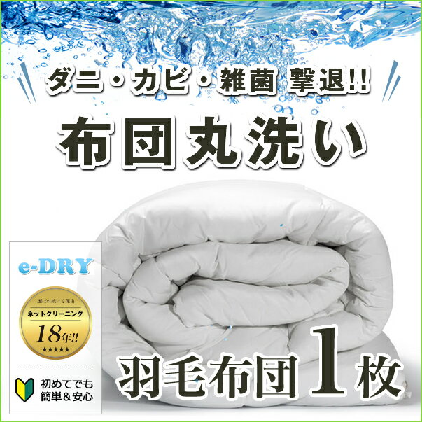 布団クリーニング 1枚 羽毛布団 クリーニング 布団 布団丸洗い ふとん丸洗い ふとんクリーニング 羽毛 シングル 宅配 宅配クリーニング ダニ退治 カビ除去 【送料無料　関東地方】