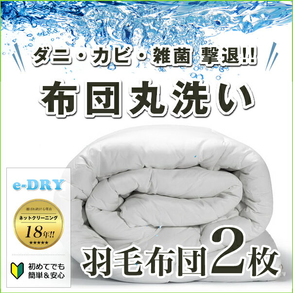 布団クリーニング 2枚 羽毛布団 クリーニング 布団 布団丸洗い ふとん丸洗い ふとんクリーニング 羽毛 ..