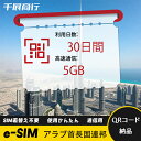 eSIM Wi-Fiよりも圧倒的に速い! esimカード 超高速データ QRコード納品 一時帰国 留学 短期 出張 使い捨て 30日間 合計30GB アラブ首長...