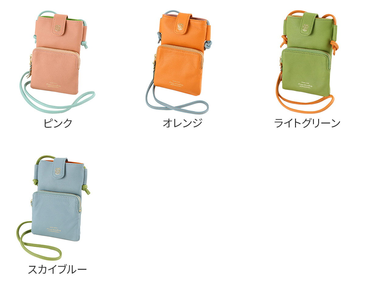 【フレームワーク 3年保証+Wプレゼント付】 ...の紹介画像2