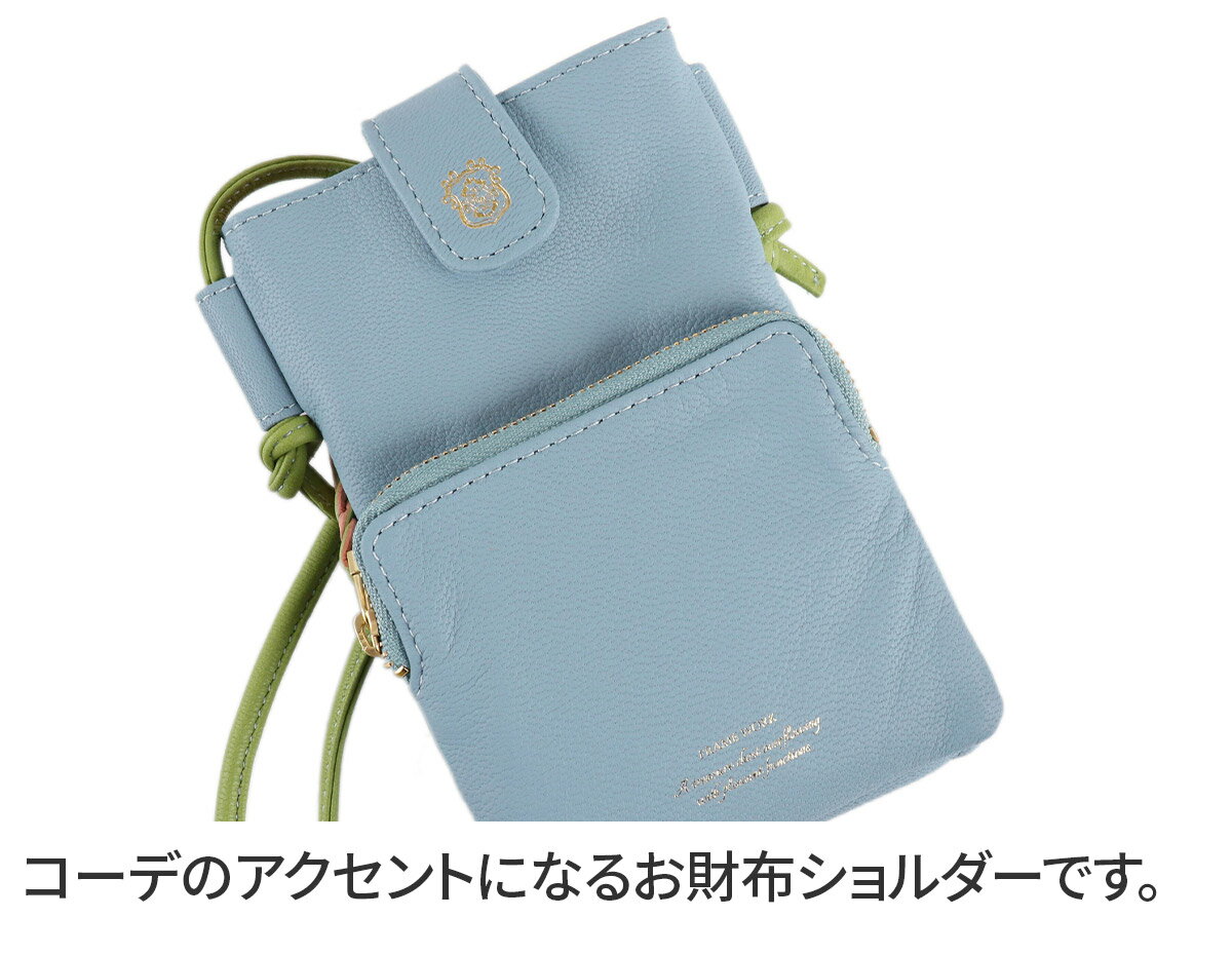 【フレームワーク 3年保証+Wプレゼント付】 ...の紹介画像3