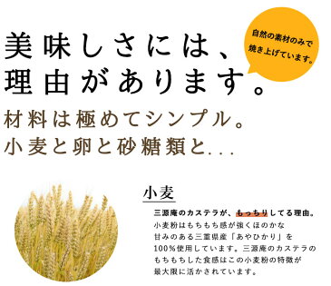 【送料無料】【三源庵】土産 訳あり お徳用 カステラ 切り落とし 7パック 【お菓子 焼き菓子 スイーツ 和菓子 お取り寄せ 詰め合わせ アウトレット 京都 帰省土産 お土産 無添加】【北海道・沖縄・一部離島へのお届けは送料600円加算】