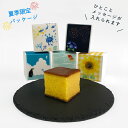 【オリジナルメッセージ】夏のプチギフト キューブカステラ 1個【三源庵】サマーギフト 手土産 おしゃれ かわいい 限定パッケージ 個包装 京都 贈り物 お菓子 スイーツ 和菓子 小分け ばらまき 大量 お配り まとめ買い 差し入れ おすすめ ポイント消化 メッセージ