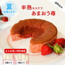 夏は冷やして!期間限定フレーバー 半熟カステラ おまおう苺 【 まとめ買い特別価格 2個セット 3個セット】【三源庵】 カステラ プレゼント お菓子 スイーツ ...