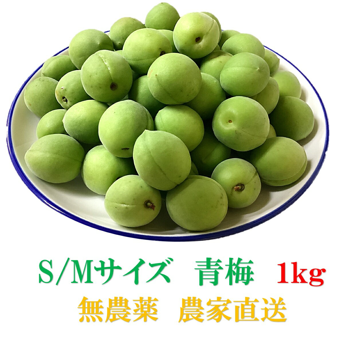 朝取り【宮城県東松島産】　天然 無農薬 堤の里 青梅 直送セット（S〜Mサイズ1kg）