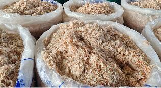 自然の調味料　アミエビの塩辛　キムチ手作り用　　1kg（韓国食品、調味料、惣菜） 3