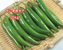 辛い青唐辛子 10kg（1箱）（韓国食品 野菜）