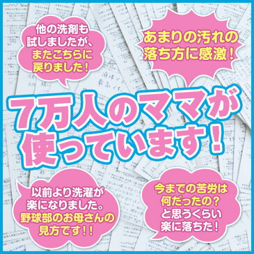 月間商品送料無料【公式/作業着・作業服専用洗剤】「作業服スッキリ」詰替え用(グリス・エンジンオイル・機械油など)