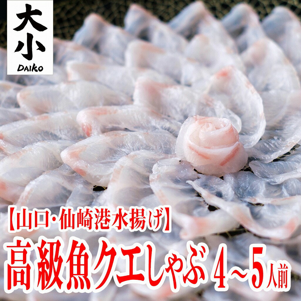”白身の王様”と呼ばれる高級魚クエを、贅沢な薄造りでどうぞ。 しゃぶしゃぶはもちろん、そのままお刺身としてもお楽しみ頂けます。 しっかりと脂が乗り、噛めば噛むほど旨味が出てくる魚です。 クエは仙崎港で水揚げされた2kg〜10kgの小型〜中型のサイズを使用。 延縄か定置網で獲れた良質な個体を使っています。 湿度を保った冷気で急速冷凍し、魚の美味しさをそのままお届けいたします。 ポン酢付きで、解凍してすぐにお召し上がりいただけます。 ※野菜は付属していません 商品名 クエのしゃぶしゃぶ　(薄造り)　4〜5人前　240g 内容量 ・くえ刺身240g （刺身皿は直径約30cm） ・ポン酢100ml 原料 山口県仙崎産くえ 消費期限 要冷凍-18℃以下で30日間 ※解凍後はすぐにお召し上がりください。 送料 無料※沖縄・北海道は1,000円 配送方法 クール冷凍便 お届け日 最も早いお届けでご注文日より4日後