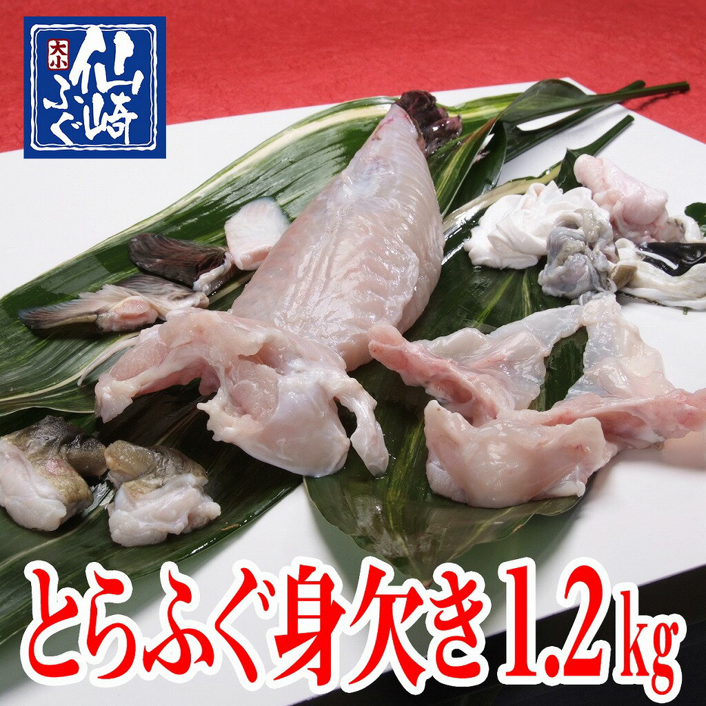 あす楽 身欠き みがき 1 2kgサイズ 山口県産仙崎ふぐ とらふぐ 食品 とらふぐ 魚介類 水産加工品 仙崎ふぐ 大小捌くのに免許が必要なとらふぐを 自分で料理できる 高級料亭の味をご家庭で 生でお届け 鍋 唐揚 あらゆるフグ料理に最適 切り身 丸ごと