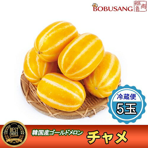 冷凍アセロラ果実 500g×1P アセローラフレッシュ ビタミンC含有量レモンの約34倍 南国フルーツ 沖縄県産