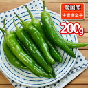 【3袋セット】むそうAUGA オーガニックトマトスープ400g 【全国一律送料無料】【時間指定不可】