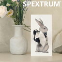 【正規品】 SPEXTRUM ティッシュケース ウサギ Wonder Rabbit Tissue Case ☆ インテリア シンプル 韓国 大人気 韓国雑貨 韓国ブランド 韓国インテリア シンプル アクセント おしゃれ 【関税込/送料無料】
