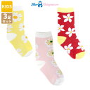 【正規品】 Blue Chimpanzee 靴下 KIDS SOCKS SET ☆ ソックス セット キッズ 女の子 コットン カジュアル キュート デイリー ...