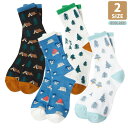 【正規品】 THE NORTH FACE 靴下 ソックス CAMPING COOLMAX MID SOCKS NY4MQ04 ☆ メンズ レディース キャンプム...
