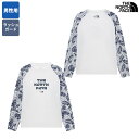 【正規品】 THE NORTH FACE ラッシュガード M'S SURFY PRINT L/S RASHGUARD NT7TR03 ☆ ナイロン メンズ レギ...
