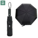 【今だけ10%OFF+クーポン】 THE NORTH FACE 折り畳み傘 TNF CARBON UMBRELLA L NA5MQ54 ☆ 傘 コーデュラ 丈夫...