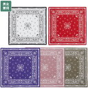 【正規品】 THE NORTH FACE バンダナ BANDANA_PAISLEY_80'S NA5BR00 ☆ UVカット ペイズリーグラフィック メンズ レ...