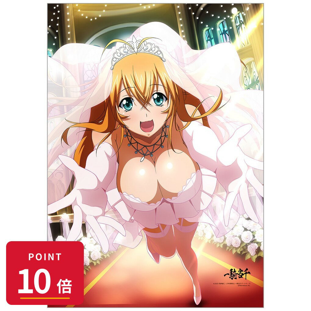 Rakuten - 【エントリーで全品P10倍】【予約】 カーテン魂 一騎当千 B2タペストリー(孫策伯符/ブーケキャッチ)Wスエード グッズ 【2026年8月発売予定】