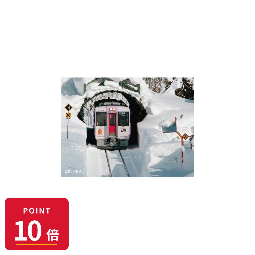 Rakuten - 【エントリーで全品P10倍】【予約】 KATO HO】キハ110「秋田リレー号」復刻塗装(M)【特別企画品】 鉄道模型 【2026年10月発売予定】