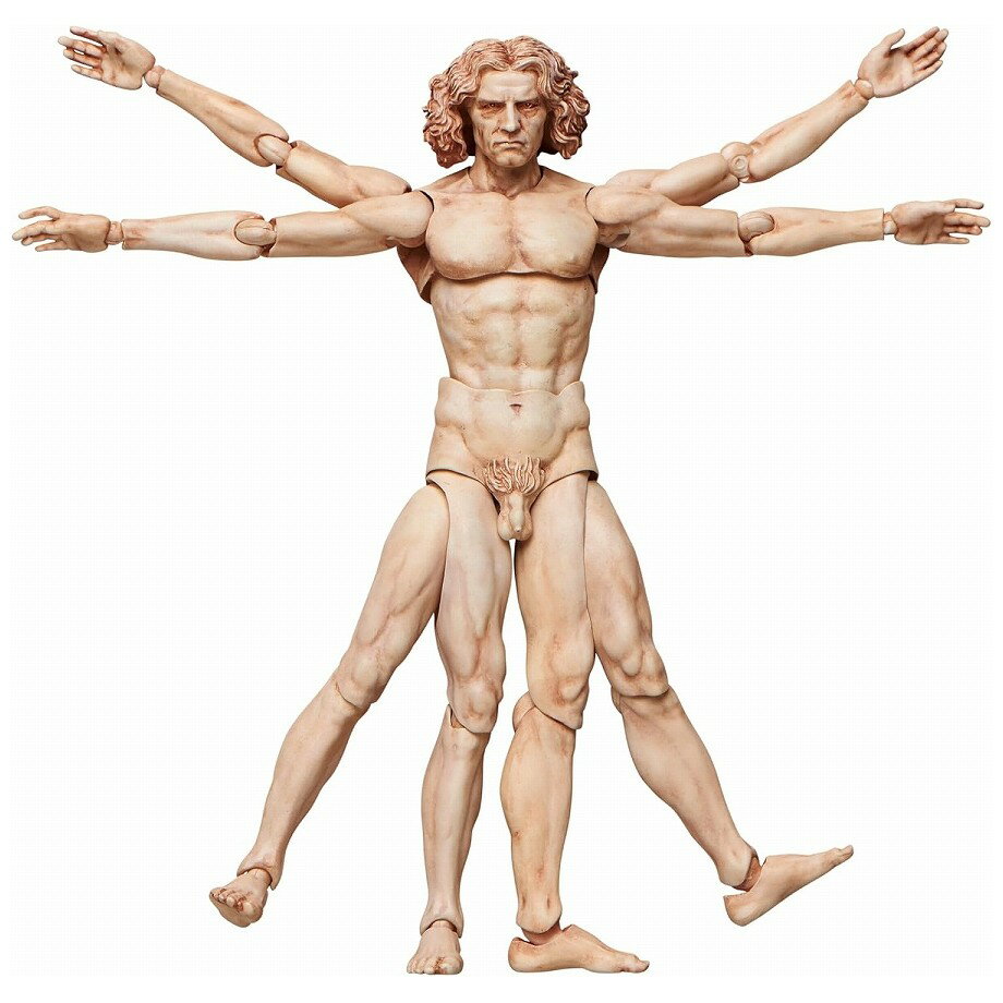 [예약] 프리잉 테이블 미술관 [figma 위틀위우스적 인체도] 피규어 [2027년 2월 발매 예정]