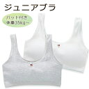 キッズブラ ハーフトップ 小学生 中学生 ジュニア スポブラ カップ付き 子供用 ソフトブラ コットン ノンワイヤー スポーツブラ ジュニア用 綿混 130cm...