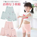 【スタートダッシュCP配布中】お得な3枚セット ペチパンツ 子供用 キッズ 猫 洗い替え 部活 体育用 オーバーパンツ 暑くない インナーパンツ 制服用 肌着 ...