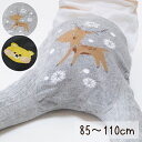 Fashion THE SALE【MAX74%OFF】スパッツ タイツ 冬 秋 春 防寒対策 寒さ対策 くま しか 男の子 女の子 普段使い プレゼント かわい...