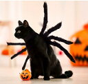 スーパーSale【最大80%オフ】【予約開始】 ペット コスチューム 犬 猫 ハロウィン クモ 蜘蛛 くも 仮装 変身 着ぐるみ かわいい こわい おもしろ ブラックユーモア 8本脚 背中装着 マジックテープ 軽量 負担少なめ 小型犬 猫 SNS映え 写真撮影