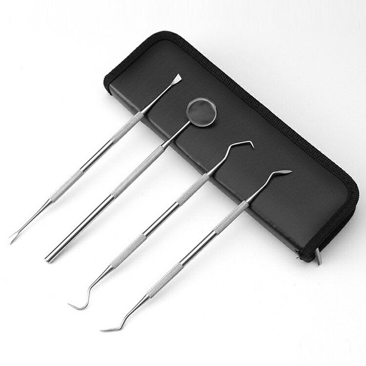 歯石取り 4本セット ペット用 犬用 犬 歯 黄ばみ 汚れ 歯石 除去 歯磨き粉 歯周病 スケール スケーラー ペットケース入り 犬の健康 愛犬 自宅で簡単 オ...