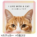 【5周年感謝イベント】【茶トラねこ】septzero 車用ステッカー シール 猫飼い 防水ステッカー 正方形 雑貨 グッズ 猫 ネコ オリジナル ビッグステッカ...