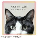 【15日迄アフターSALE実施中】【ハチワレねこ】septzero 車用ステッカー 猫飼い 防水ステッカー 正方形 雑貨 グッズ 猫 ネコ オリジナル ビッグス...