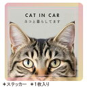 【15日迄アフターSALE実施中】【キジトラねこ】septzero 車用ステッカー 猫飼い 防水ステッカー 正方形 雑貨 グッズ 猫 ネコ オリジナル ビッグス...