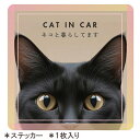 【15日迄アフターSALE実施中】【黒ねこ】septzero 車用ステッカー 猫飼い 防水ステッカー 正方形 雑貨 グッズ 猫 ネコ オリジナル ビッグステッカ...