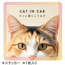 【15日迄アフターSALE実施中】【三毛ねこ】septzero 車用ステッカー 猫飼い 防水ステッカー 正方形 雑貨 グッズ 猫 ネコ オリジナル ビッグステッ...