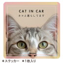 【15日迄アフターSALE実施中】【サバトラねこ】septzero 車用ステッカー 猫飼い 防水ステッカー 正方形 雑貨 グッズ 猫 ネコ オリジナル ビッグス...