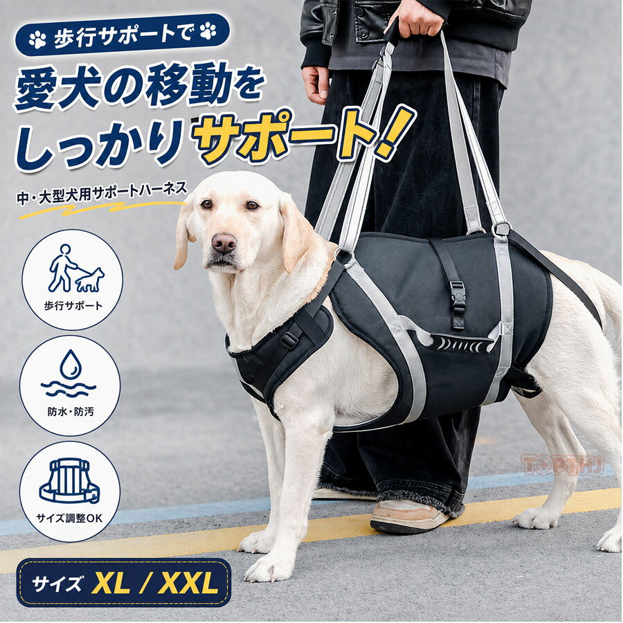 楽天市場】ラブラドール 介護の通販
