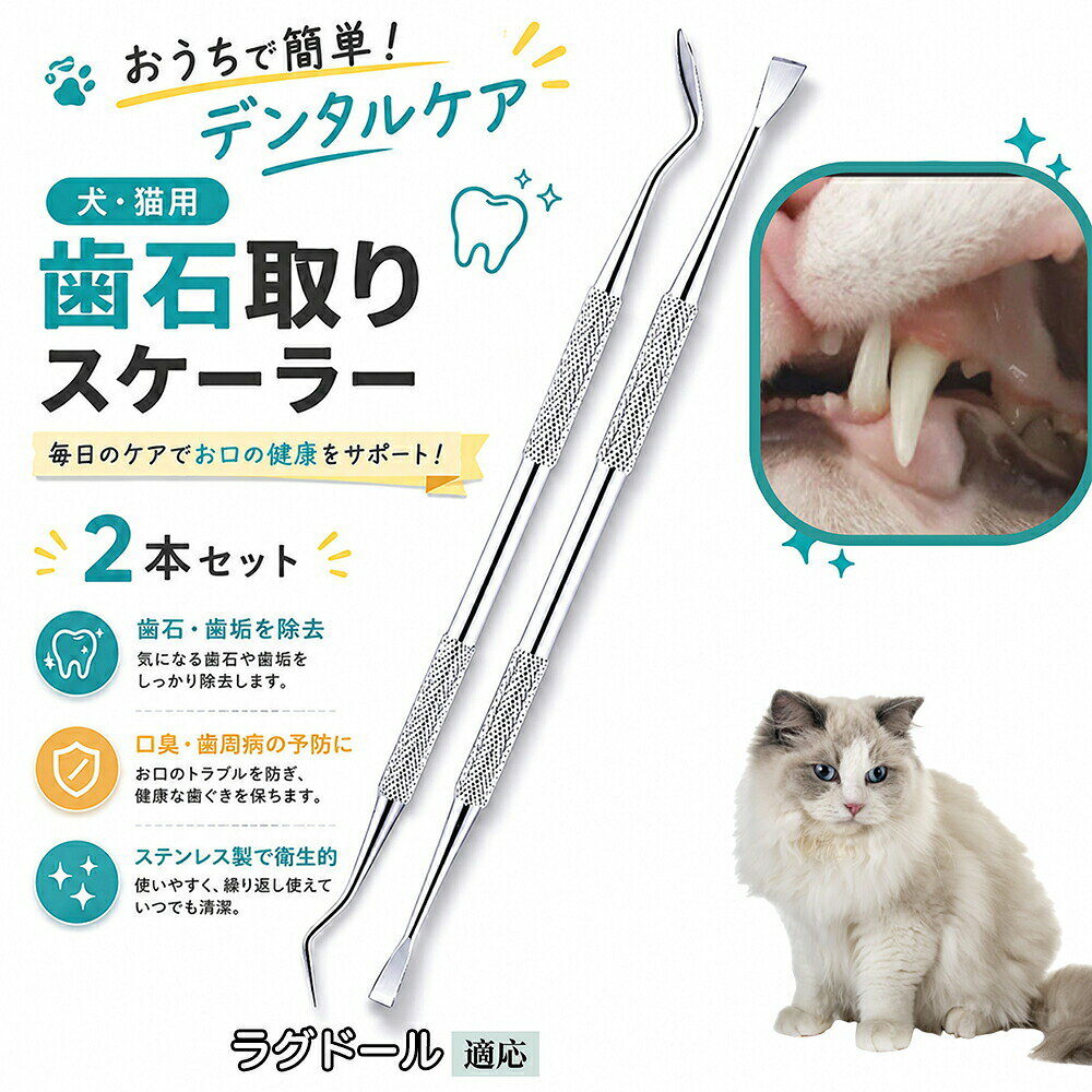 ラグドール 犬 歯石取り スケーラー 犬用デンタルケア 2本セット 両端2WAY 歯垢除去 口臭対策 黄ばみ除去 口腔ケア 犬猫兼用 自分で 衛生 ステンレス製 セルフケア