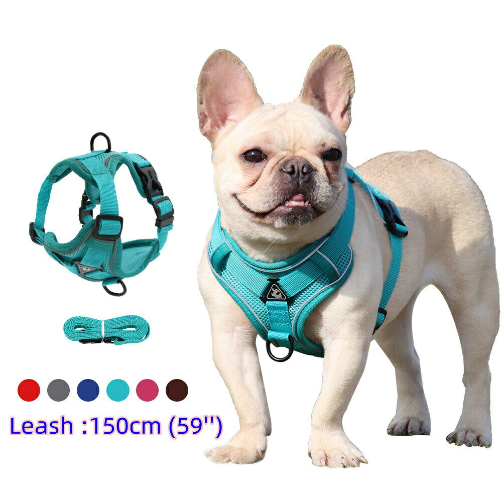 ハーネス リード セット 小型犬用 フレンチブルドッグ ピットブル ペクトラルカラー パピー用 パグ