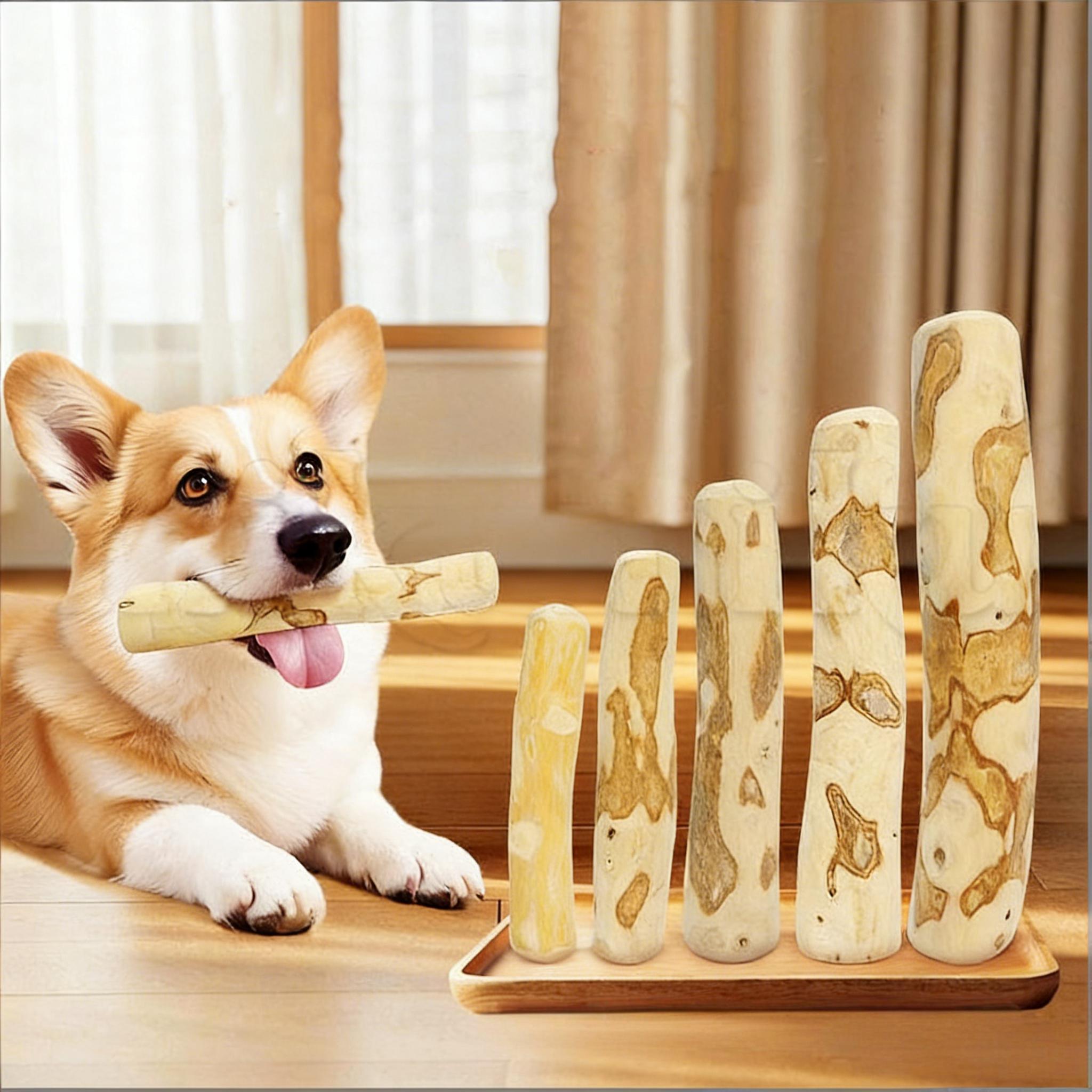 【安心・安全な天然素材】コーヒーの木を使用した犬専用噛みおもちゃです。硬く繊維密度が高く、ささくれが少ないため、安心して噛むことができます。【天然の歯ブラシとして歯垢ケア】噛むことで木の繊維質が歯の汚れを絡め取り、歯垢を自然に除去。毎日の歯磨きの代わりとして、犬の歯の健康をサポートします。カロリー・カフェイン・添加物を一切含まないため、カロリー制限が必要な犬にも安心して与えられます。ガムやおやつの代わりに最適です。【ストレス軽減&精神的満足度アップ】犬が自然に木を噛む行為でストレスが解消され、好奇心が刺激されて精神的な満足感が高まります。【飼い主とのインタラクション促進】一緒に遊ぶことでペットと飼い主の絆が深まり、犬の健康的な成長と行動のサポートにも役立ちます。【耐久性に優れ、簡単に再利用】繊維密度が高いためささくれにくく、長時間遊んでも壊れにくいコストパフォーマンスの高い素材。汚れた場合は水洗いして乾燥させるだけで何度でも使用可能です。【サイズ展開】XS・S・M・L・XL※天然素材の特性上、寸法に誤差が生じる場合がございます。【ご使用上の注意】犬用おもちゃ以外の用途には使用しないでください。必ず人の目が届く場所で使用してください。歯への負担を考慮し、長時間の使用はお控えください。ポイント5倍 犬 噛む おもちゃ コー 犬用品 おもちゃ その他 特集 S M L XL XXL 1本 2本