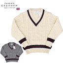 JAMES CHARLOTTE(ジェームスシャルロット)【MADE IN ENGLAND】 CRICKET SWEATER(イギリス製 クリケットセーター) WOOL