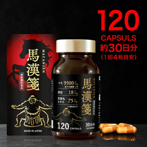 井藤漢方製薬　マカジンク 180粒