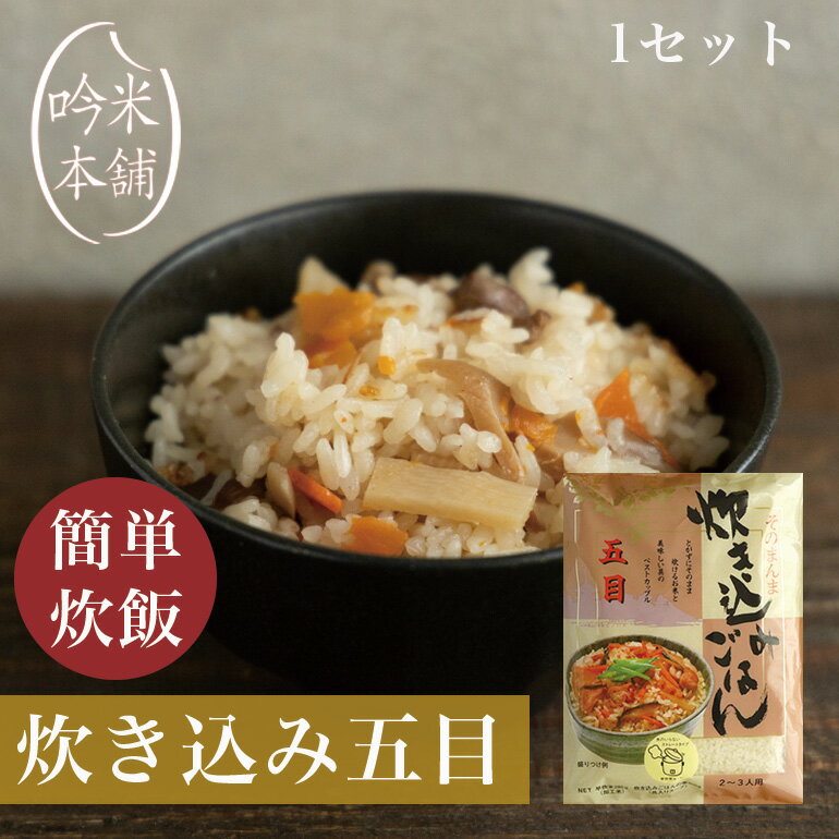 送料無料 五目 炊き込みごはん 1セット 2～3人前 炊飯器で調理 そのまんま炊き込みごはん （うるち米460g+スープ280g） 【39ショップ対応】