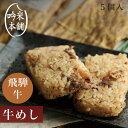 冷凍食品 飛騨牛 めし 5個入(1個 100g)【レンジ】送料別