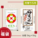 人気ランキング第15位「吟米本舗」口コミ数「9件」評価「4.56」【月替り福袋 5月】ブランド米 食べ比べ 10kg 雪若丸 山形県産 コシヒカリ 兵庫県産丹波篠山 各5kg 令和5年 米 お米 【同月内出荷】【令和5年産】 【39ショップ対応】【送料無料】 【沖縄・離島送料別途必要】