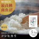 最高級 南魚沼産 コシヒカリ 5kg しおざわ地区限定 塩沢 一宮精米 令和5年 米 お米 魚沼産 こしひかり 新潟県 旧塩沢町 【送料無料】【39ショップ対応】 【北海道・沖縄県・離島送料必要】