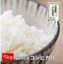 【家庭応援】 【数量限定】 コシヒカリ 5kg 石川県産 米 精白米 【令和元年産】 送料別 【39ショップ対応】